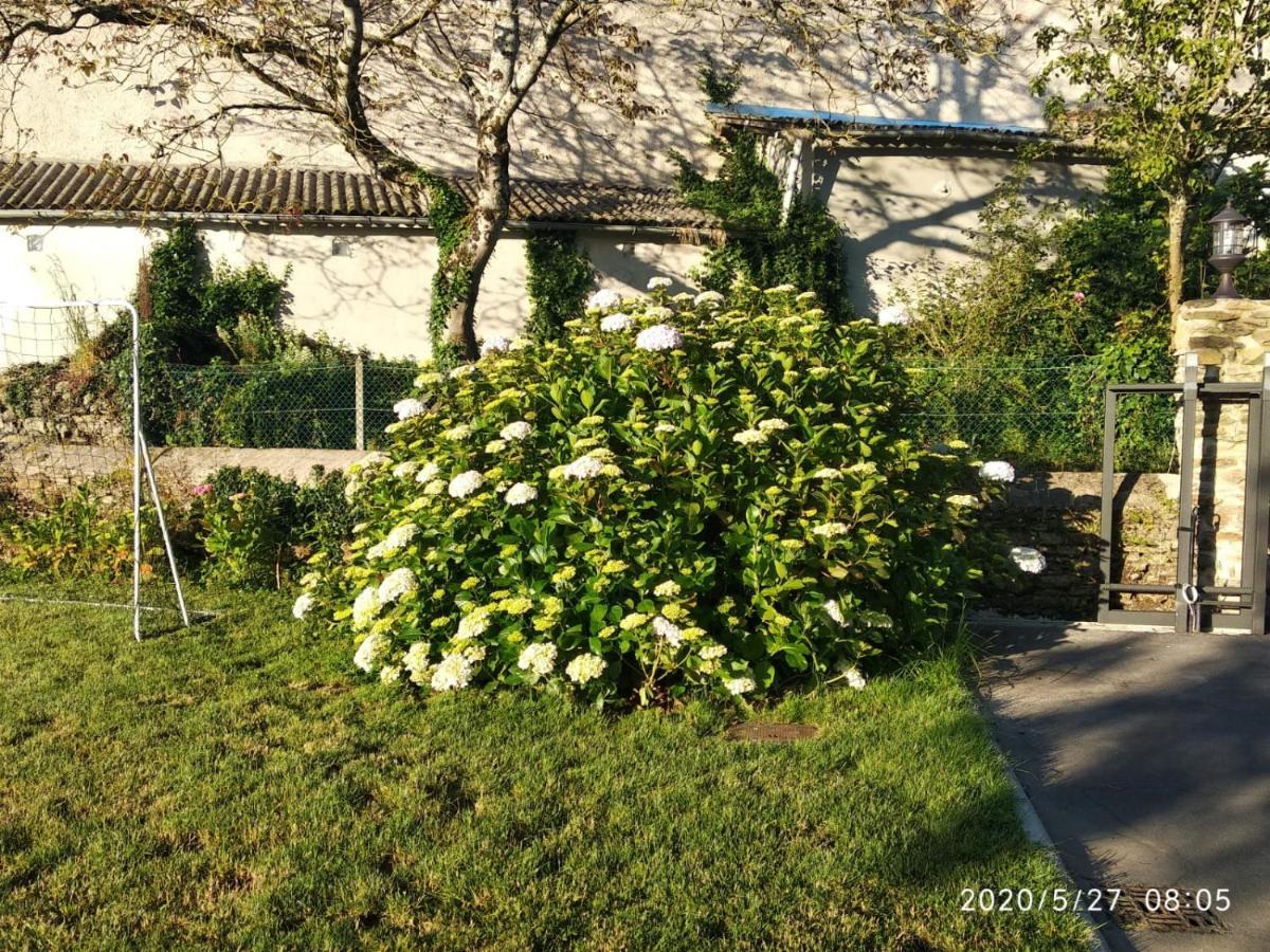 Casa Hortensia Салас Екстериор снимка
